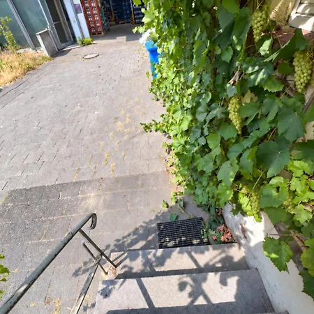 Apartment Grapevine House In Taunus Near Frankfurt Am Main *